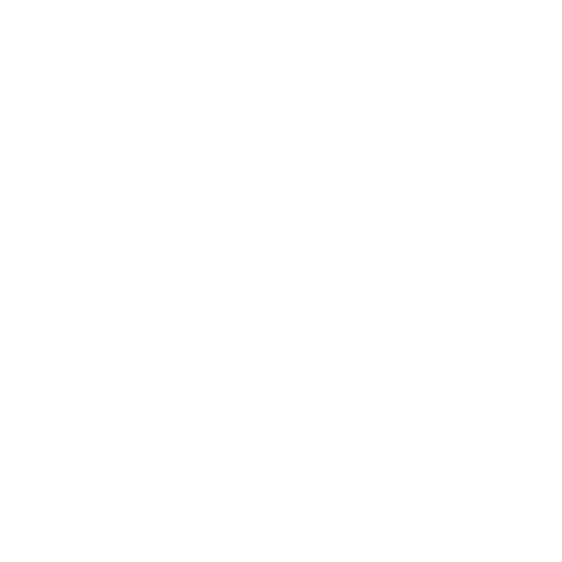 Moroccan Export Products