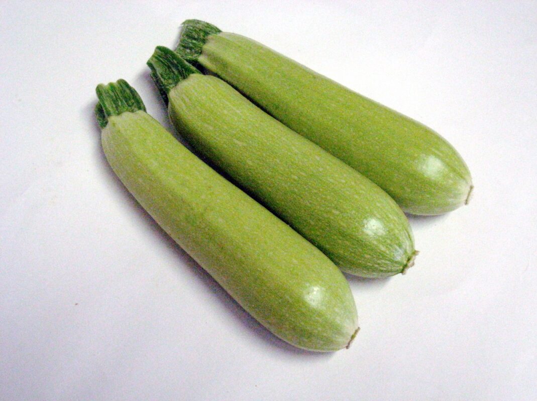 Fresh Moroccan green squash showcasing its vibrant color and quality.