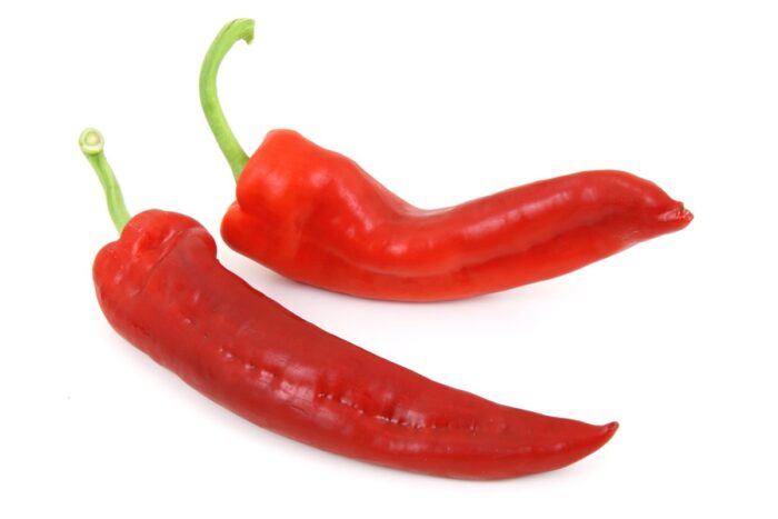 Vibrant Moroccan red peppers showcasing their rich color and quality.