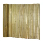 Bamboo garden