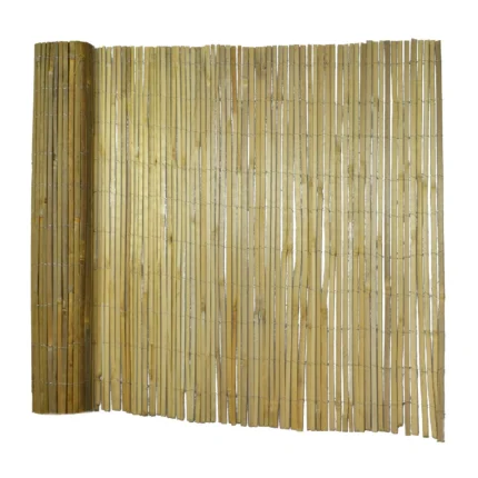 Bamboo garden